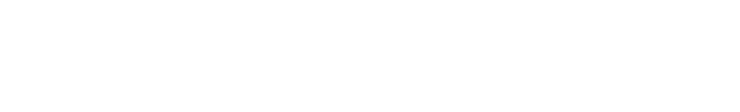 CYBEX