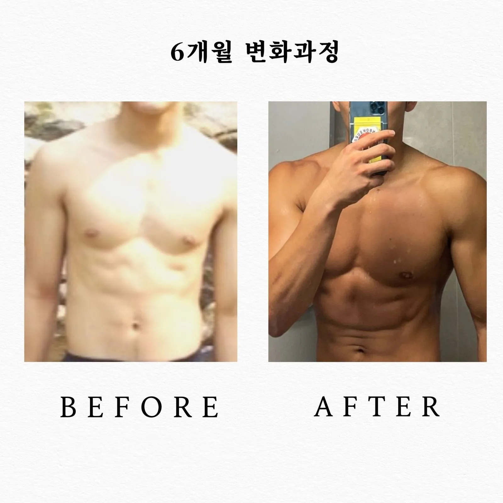 6개월 사이 회원 상체 변화 비교